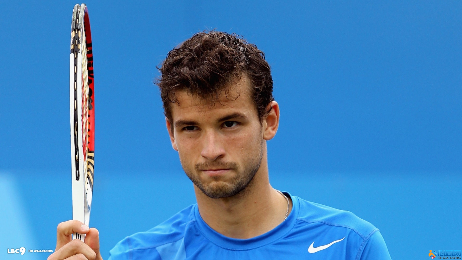 贯彻执行该 贯彻执行该