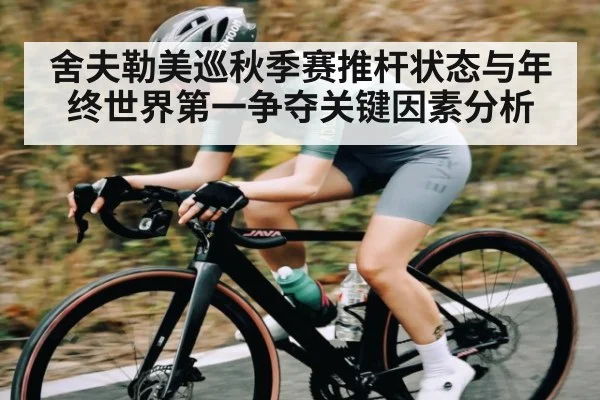 舍夫勒美巡秋季赛推杆状态与年终世界第一争夺关键因素分析